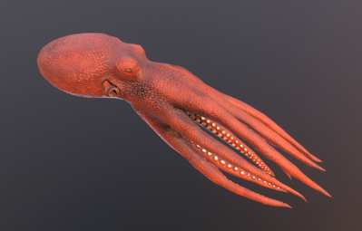 次世代 pbr 写实 章鱼 墨鱼 乌贼 海底生物 八爪鱼 海洋