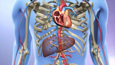 经颈静脉肝内门体静脉分流,静脉穿刺tipss