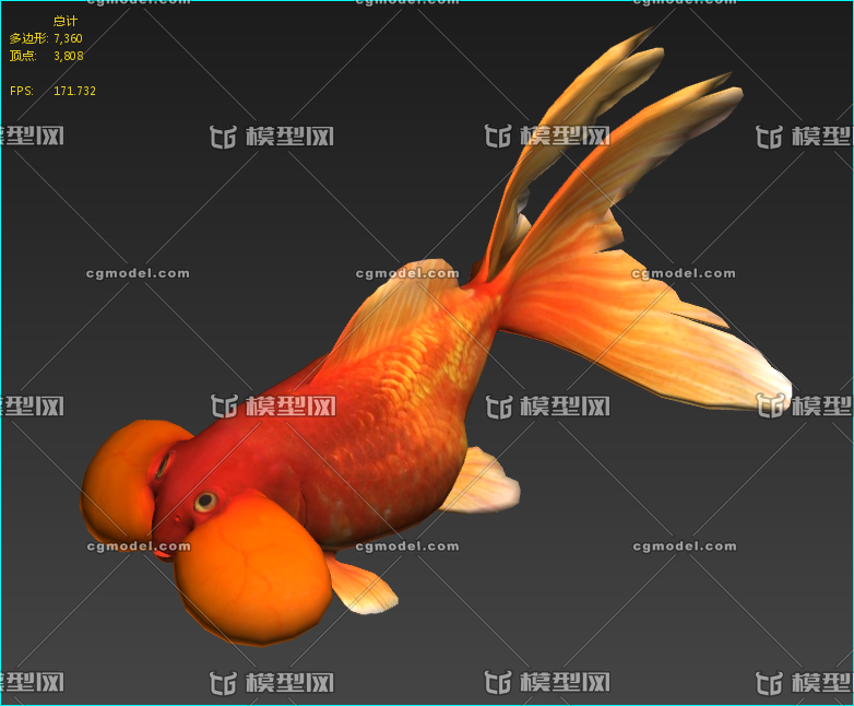 红水泡金鱼有动作泡眼鱼写实金鱼 次时代游戏鱼虚拟现实鱼 Cg模型网 Cgmodel 三维设计师交流互动平台 专注多品类3d模型下载 原创作品分享 软件学习