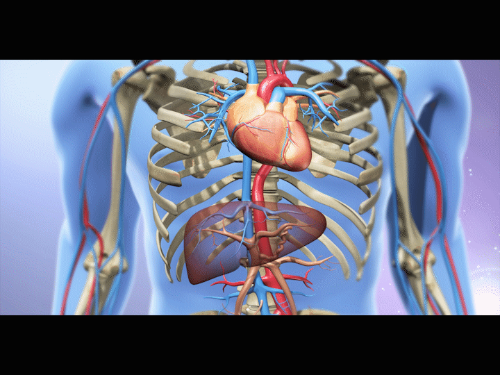 经颈静脉肝内门体静脉分流,静脉穿刺tipss