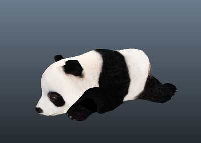 大熊猫 动物_lee0707作品_动物哺乳_cg模型网