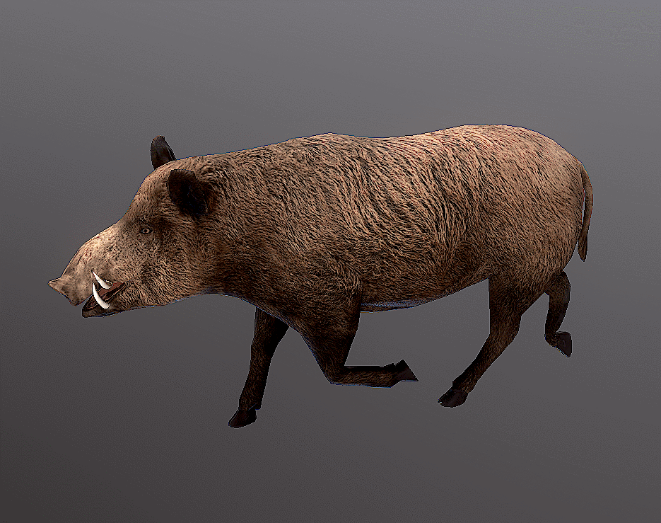 写实 野猪 猪 豪猪 怪兽 野兽 pig 动物 带动作-哺乳-动物-i am iron