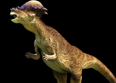 超全动作恐龙模型之14—肿头龙;  厚头龙, pbr贴图,带材质渲染,带绑定