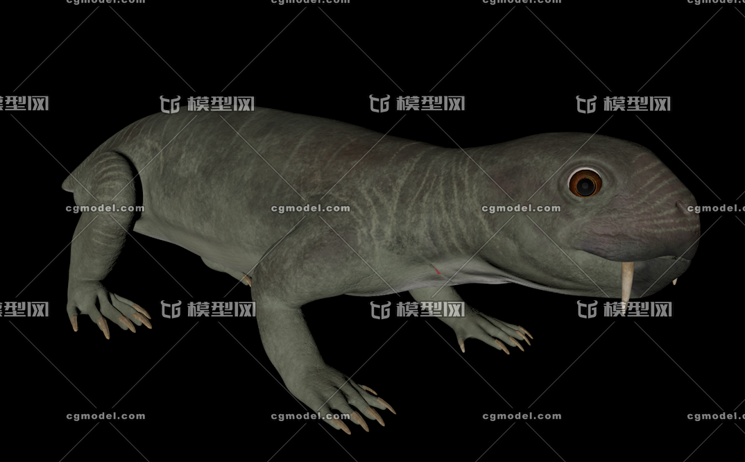 二叠纪远古生物双齿兽