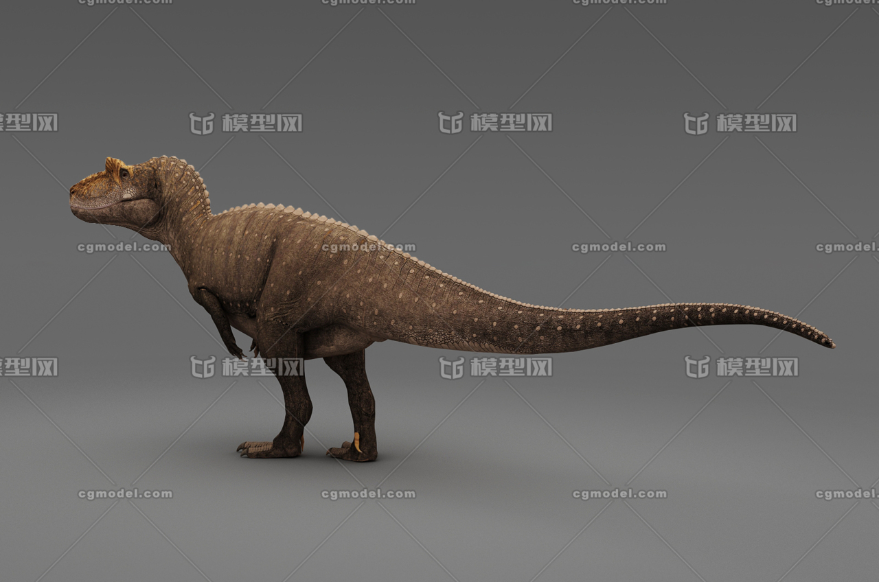 异特龙 跃龙 异龙 allosaurus