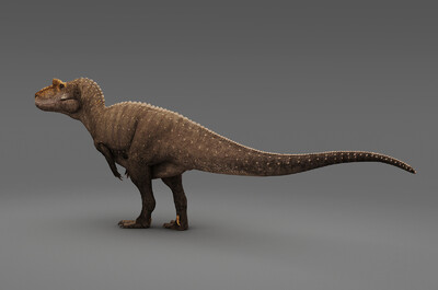 异特龙 跃龙 异龙 allosaurus