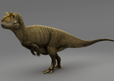 异特龙 跃龙 异龙 allosaurus