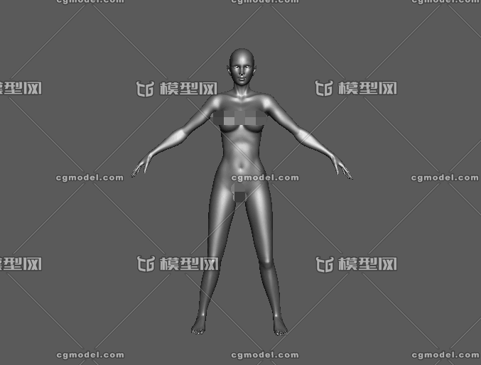 女人体模型 Cg模型网 Cgmodel 三维设计师交流互动平台 专注多品类3d模型下载 原创作品分享 软件学习