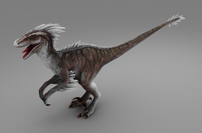 华丽羽王龙  羽王龙 yutyrannus