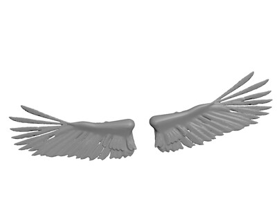 天使的翅膀〔带骨架〕模型下载
