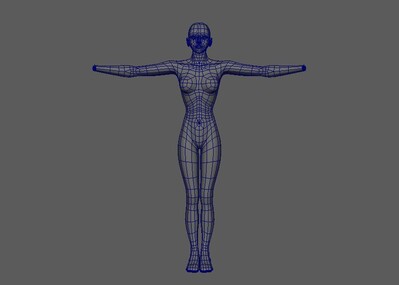 女性建模人体布线_九头鸟作品_人物女人_cg模型网