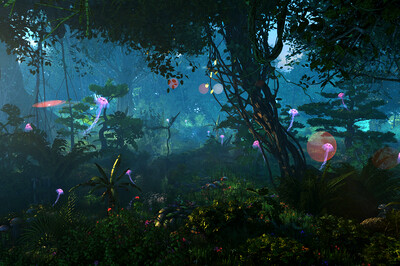 原始森林,热带雨林,水母,小溪流水,蘑菇,古树,藤蔓枯枝,灌木小草花丛