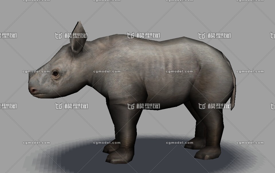 小犀牛模型下载_napazz作品_动物哺乳_cg模型网