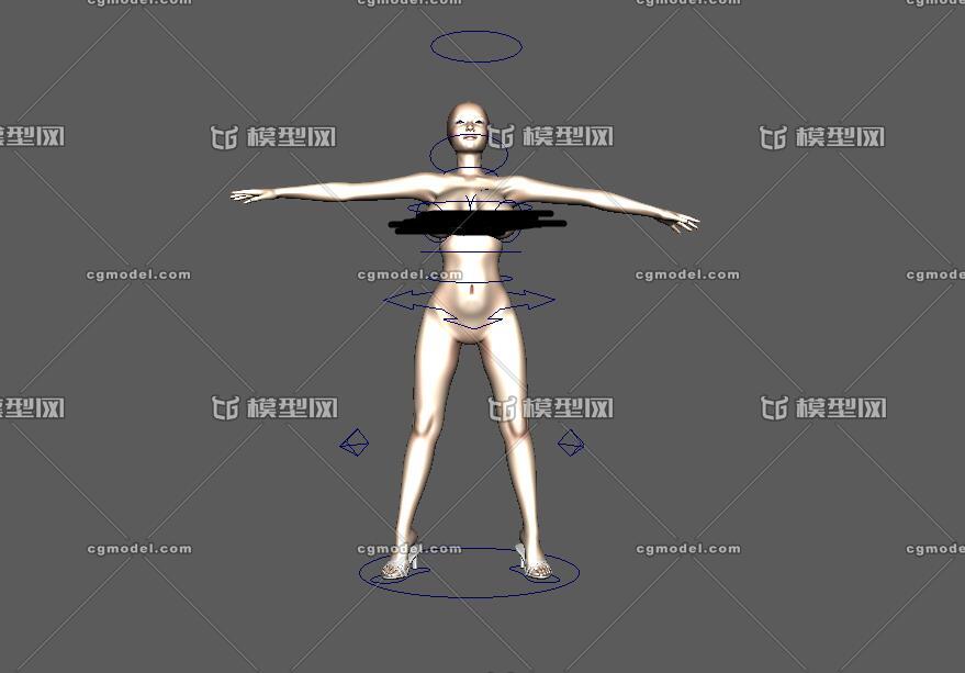 摇乳mm,有贴图带动画 _冰赤作品_人物女人_cg模型网