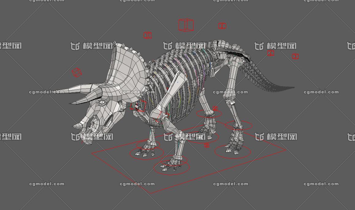 设置好的三角龙骨骼模型下载