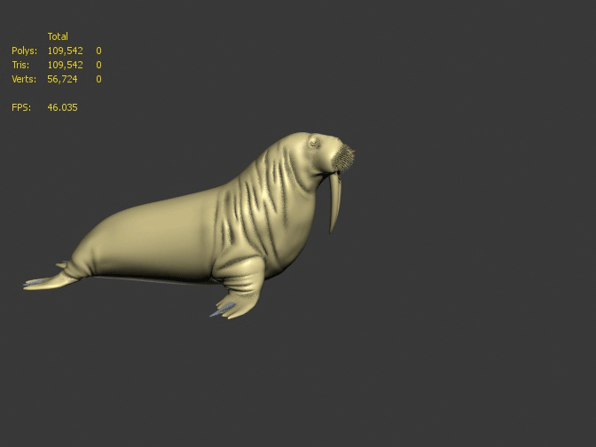 海狮写实类,带蒙皮骨骼和动画,内含多个版本,按需求下载