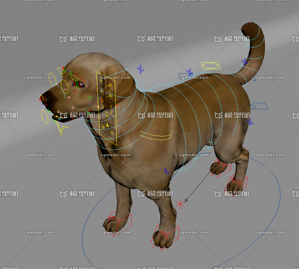 表情绑定狗狗宠物家犬家狗土狗导盲犬adv四足 绑定写实狗子 Cg模型网 Cgmodel 三维设计师交流互动平台 专注多品类3d模型下载 原创作品分享 软件学习