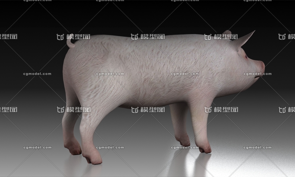 动物系列猪仔家猪牧场畜牧养殖猪小猪哺乳动物虚拟现实ar Vr动物 模型 Cg模型网 Cgmodel 三维设计师交流互动平台 专注多品类3d模型下载 原创作品分享 软件学习