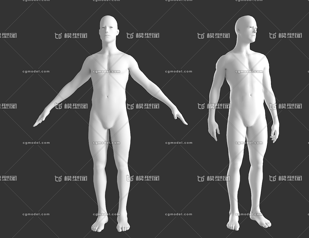 男性 男性人体 男人 高模 zbrush 裸模 肌肉 肌肉男 基础人体模型