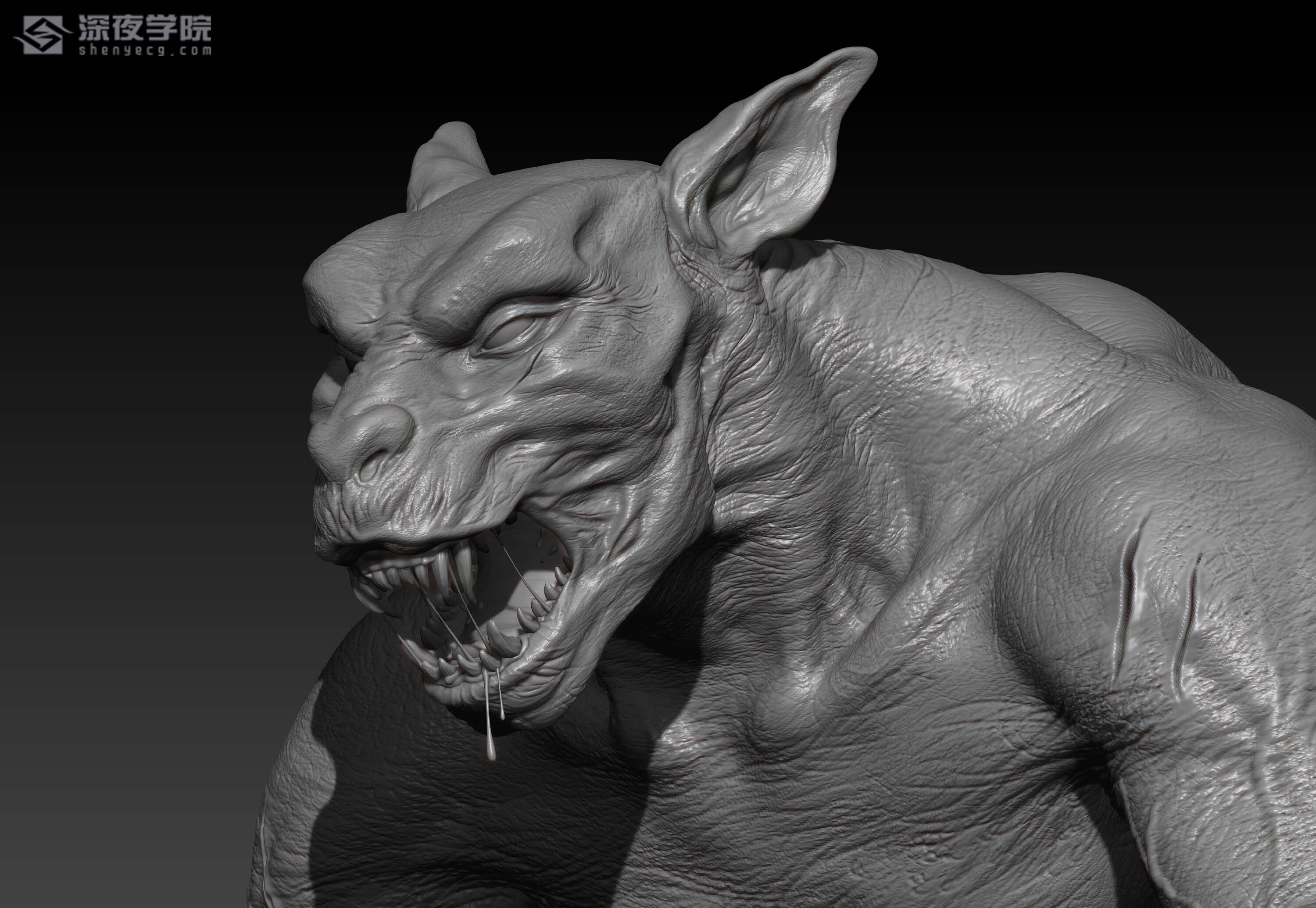 涉及软件:zbrush,sp等