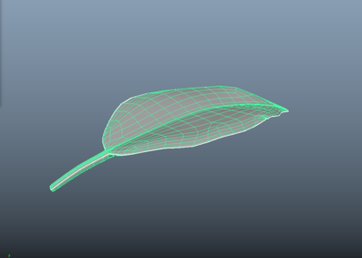 maya建模叶子