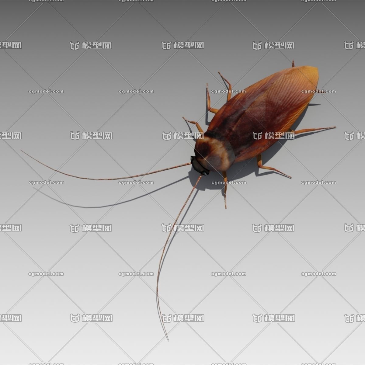 兇猛蟑螂卡通插畫風格棕色, 蟑螂, 卡通, 棕色素材圖案，PSD和PNG圖片免費下載