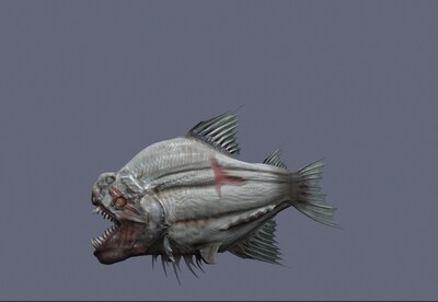 远古深海鱼  食人鱼  魔鬼鱼  怪鱼