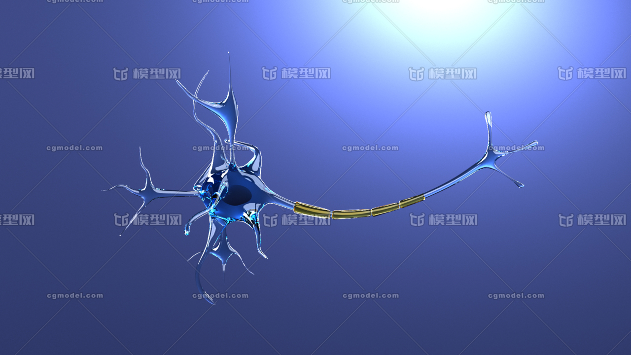 神經細胞 神經元細胞 醫學模型 醫學動畫