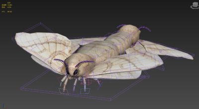 蛾蠶 蝴蝶 蠶繭化蝶 遊戲模型 vr虛擬現實模型