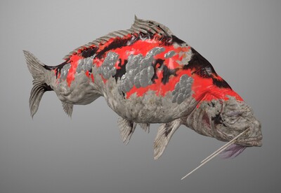 写实 鲤鱼王  次时代 2k 鲤鱼  carp  鱼王