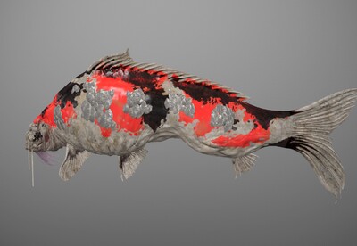 写实 鲤鱼王  次时代 2k 鲤鱼  carp  鱼王