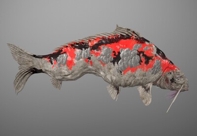 写实 鲤鱼王  次时代 2k 鲤鱼  carp  鱼王