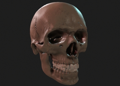 骷髅头 骨头 人骨 天灵盖 恐怖 万圣节 头骨