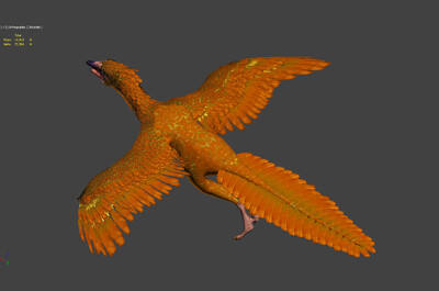 始祖鸟 侏罗纪晚期小恐龙 archaeopteryx 侏罗纪古生物模型
