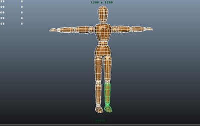 木头人 木头玩偶 木玩偶 木偶人 带绑定 木头人偶 木人模型 木质玩偶