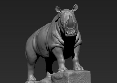 站立的犀牛_jdd0416作品_动物哺乳_cg模型网