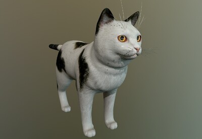 超写实 ** 花猫  次世代 猫科动物  cat  家猫