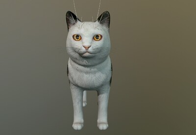 超写实 ** 花猫  次世代 猫科动物  cat  家猫