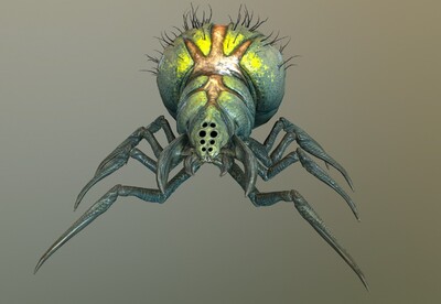 劇毒蜘蛛怪獸 次世代 2k貼圖 巨型蜘蛛 spider