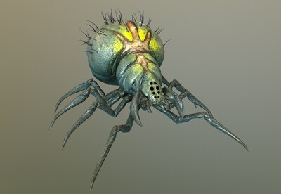 剧毒蜘蛛怪兽  次世代 2k贴图 巨型蜘蛛  spider