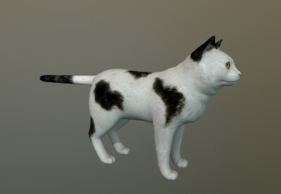 超写实 ** 花猫  次世代 猫科动物  cat  家猫