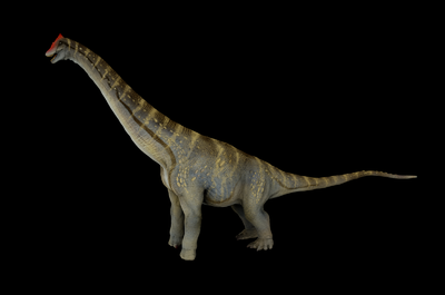 【带绑定无ik】阿拉摩龙  恐龙 写实 pbr 绑定 次世代 恐龙模型 白垩