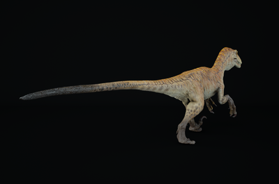 【带绑定无ik】速龙 恐龙 写实 pbr 绑定 次世代 恐龙模型 白垩纪