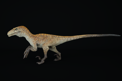 【带绑定无ik】速龙 恐龙 写实 pbr 绑定 次世代 恐龙模型 白垩纪