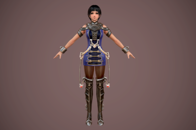 写实 女战士 女刺客 女侠 女杀手 皮甲 皮衣 劲装美女 美人 御姐 少女