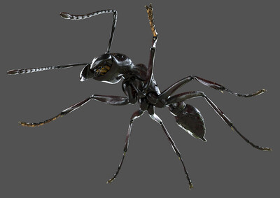 pbr次世代 子弹蚁 写实蚂蚁 拟猛蚁亚科 写实昆虫 蚁科 节肢动物 六足