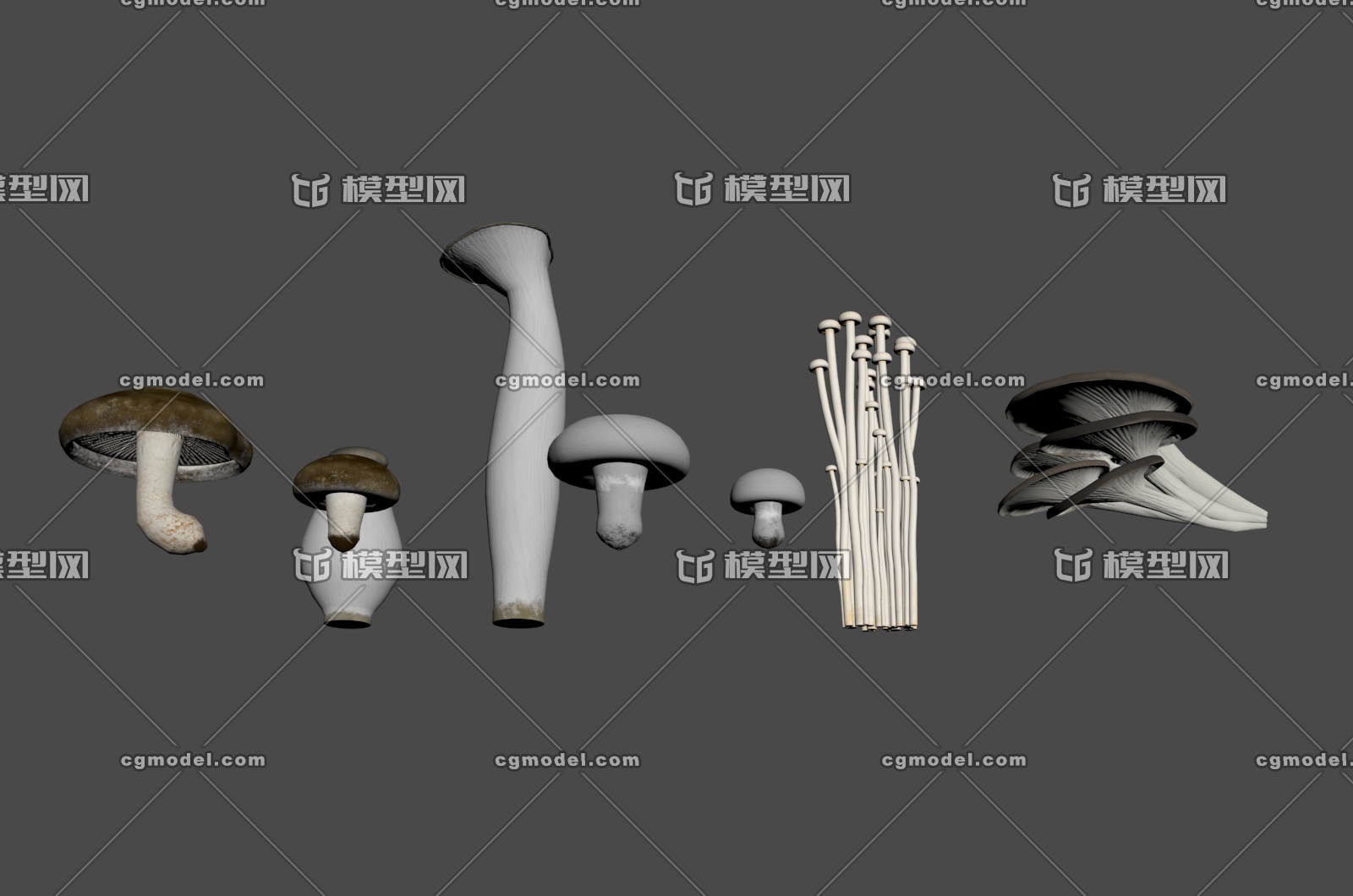 5种常见食用蘑菇模型-水果蔬菜模型库-3ds Max(.max)模型下载-cg模型网