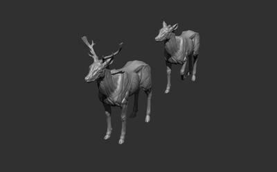 动物鹿肌肉模型参考图