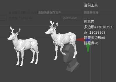 动物鹿肌肉模型参考图