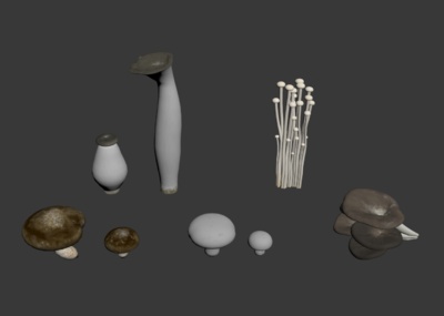 5种常见食用蘑菇模型-水果蔬菜模型库-3ds Max(.max)模型下载-cg模型网